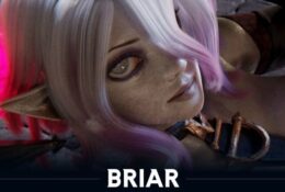 [CHIKIPIKO] BRIAR